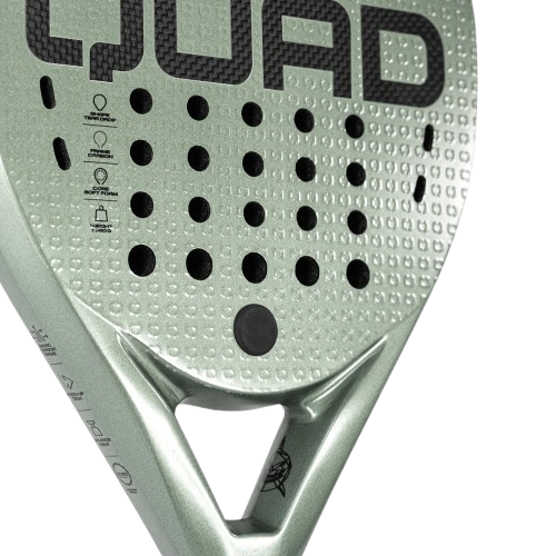 Quad Shark